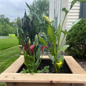 Enjoy the life, remember no rain 🌧 or storm  🌩 last forever